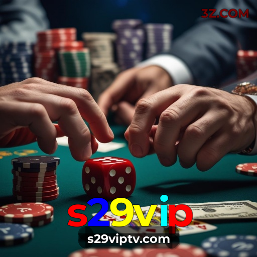 s29vip Rio de Janeiro - Bonus Terms